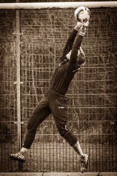 Bild 2997 - Frauen SV Henstedt Ulzburg - TSV Limmer : Ergebnis: 5:0